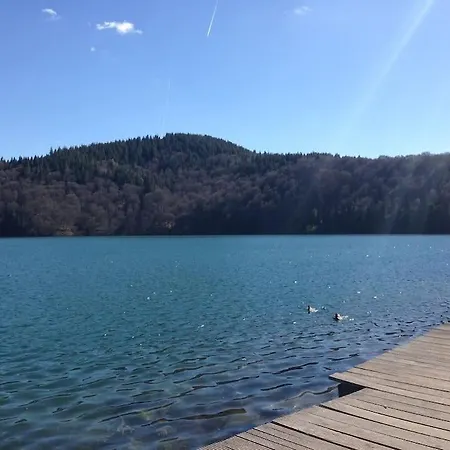 Abelhas Chalet
